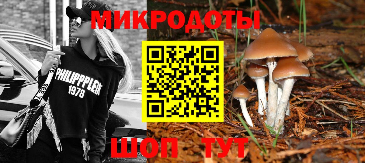 Кстово  Галлюциногенные грибы Cubensis  Галлюциногенные грибы ЛСД  Вход с VPN 